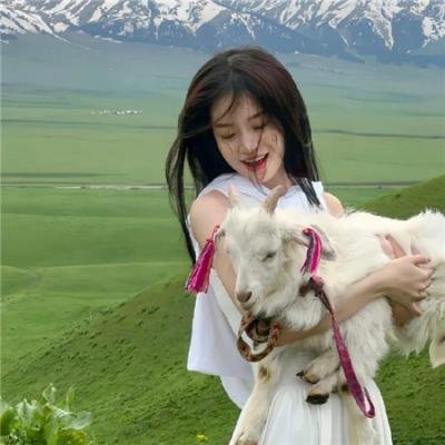 战斗吧！书店女孩